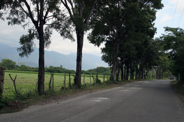 Carretera Entre Cabaas y Huite