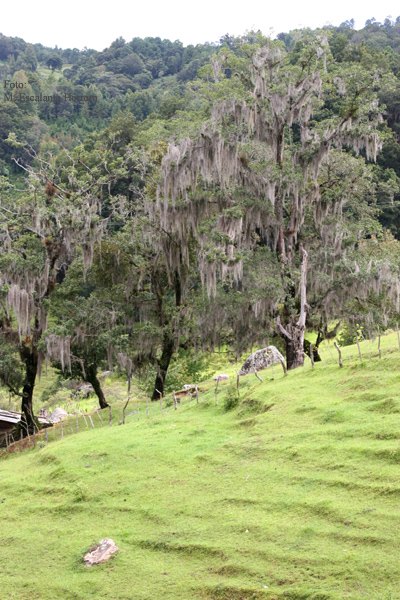 Paisaje a Orilla de la Carretera