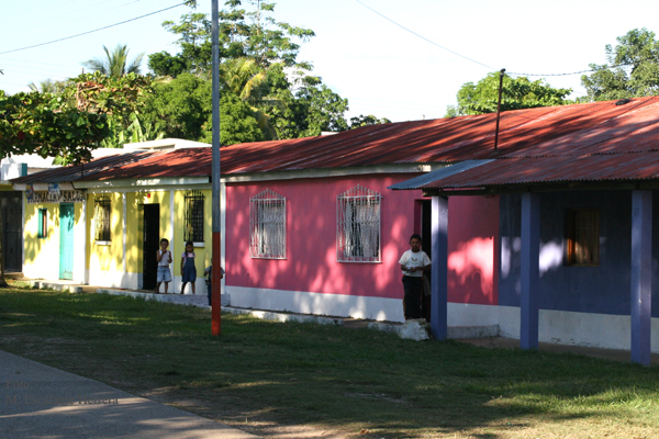 Casas Tipicas del Area Urbana