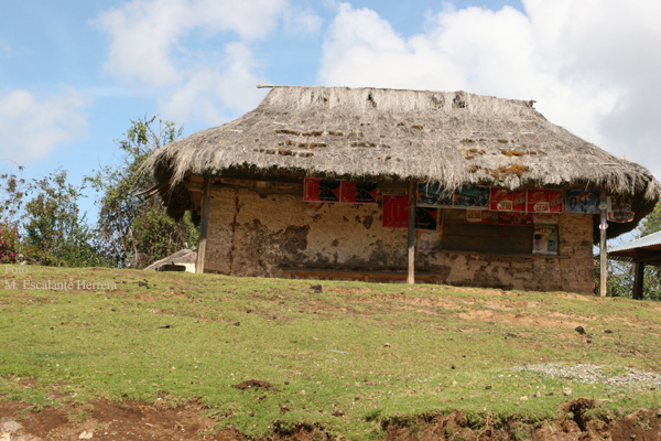 Casa y Tienda a Orilla de la Ruta a la Cabecera