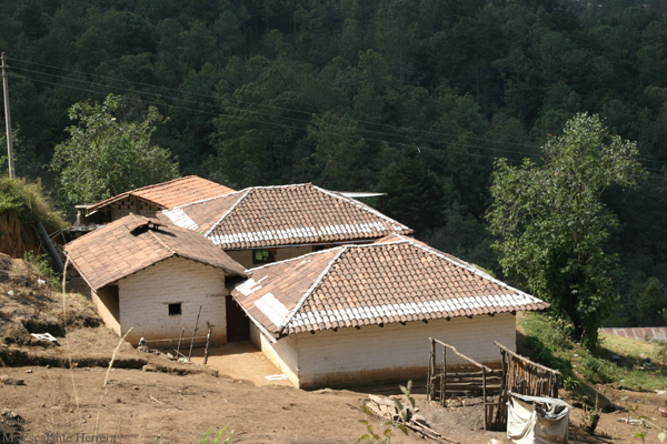 Casas en el Area Rural del Municipio