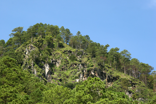 Cumbre Caracteristica de la Sierra de las Minas