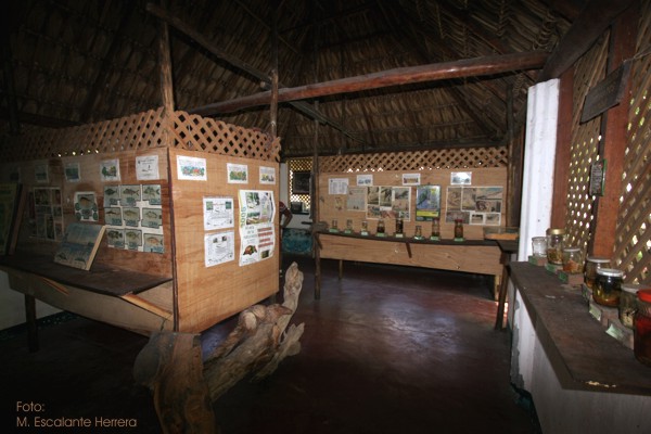 Interior del Museo de la Reserva