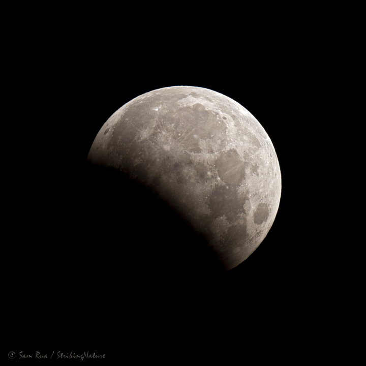 Partial Lunar Eclipse