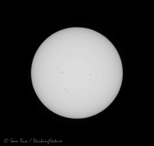 Venus Transit Animation