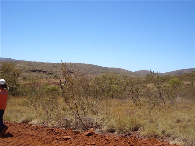 Packsaddle tender work area , future work site if we bid correctly