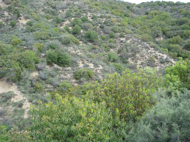 Shrapnel Valley a bastard of a climb what would it have been like under fire.JPG