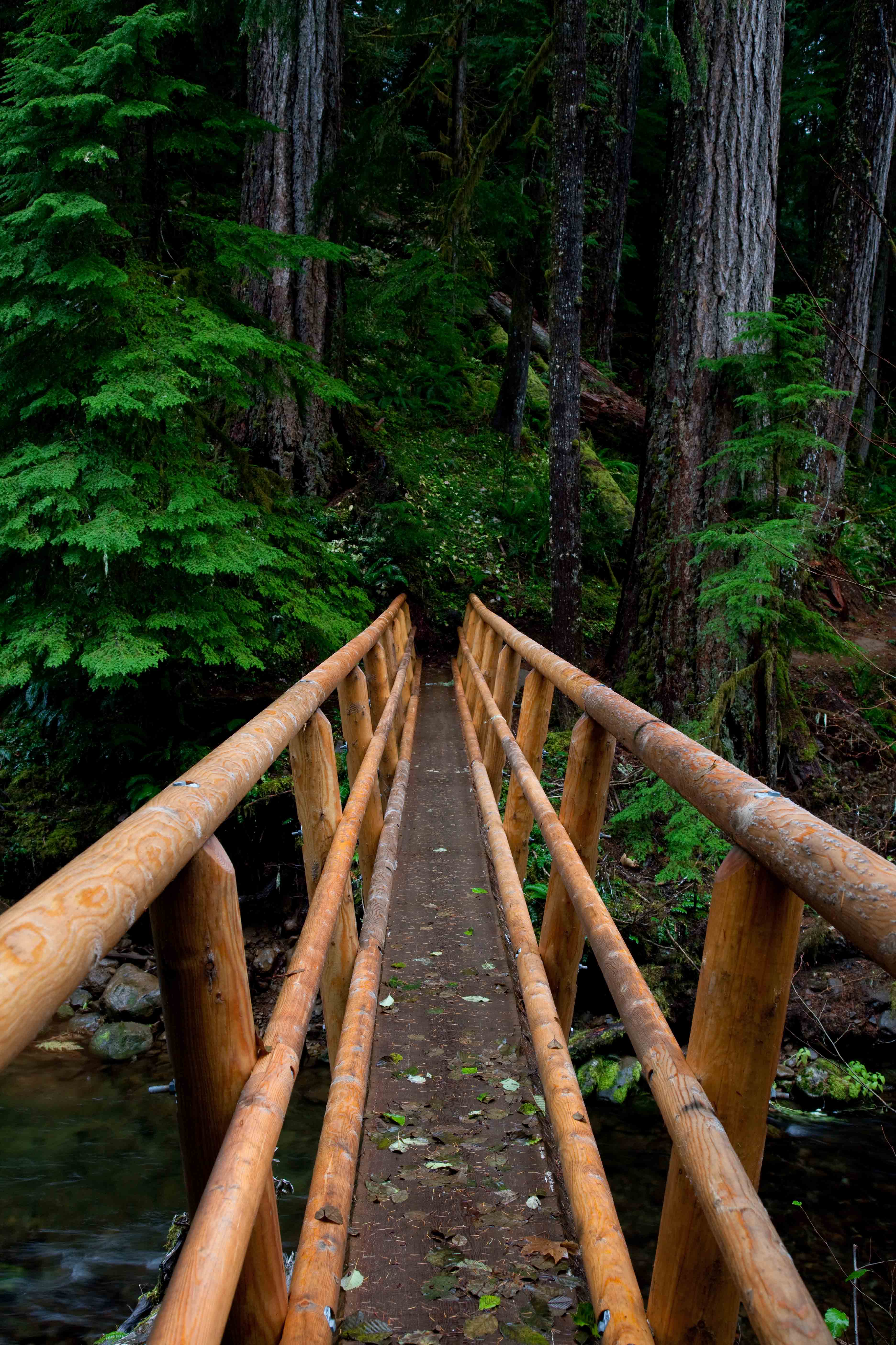 HJ Andrews Experimental Forest  2