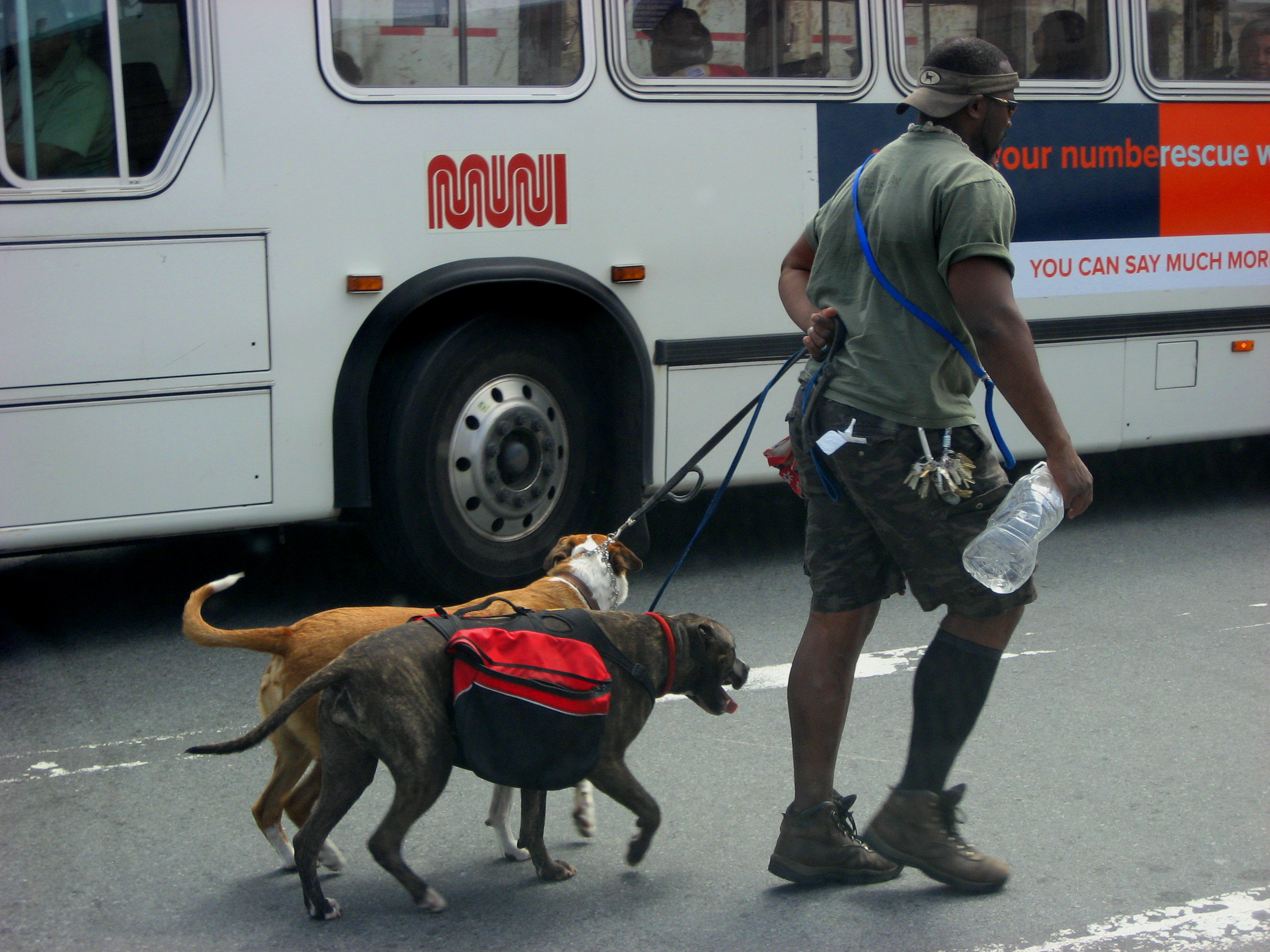 Big Dogg walkin 2 Dogs