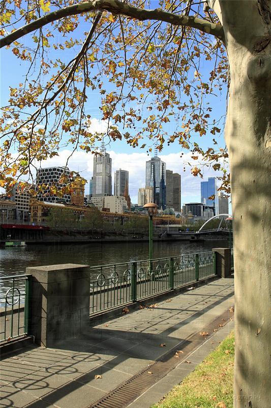 MELB410_9000