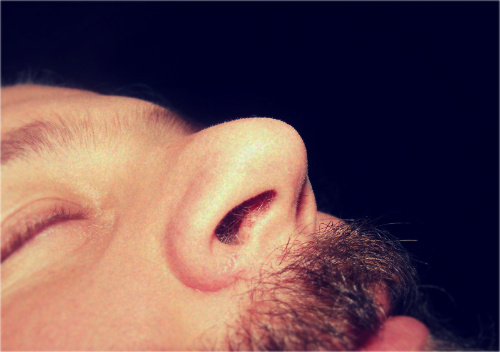 The nose knows