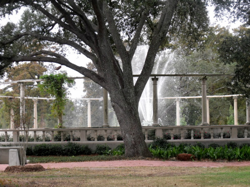 DSCF6731.jpg