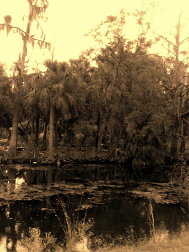DSCF6740.jpg