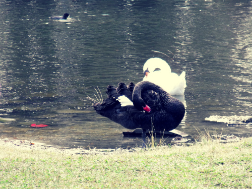 DSCF6760.jpg