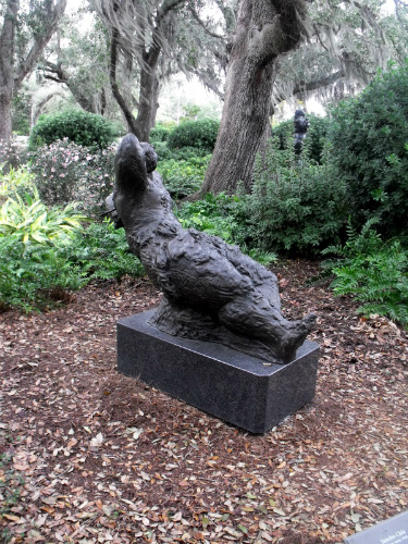 DSCF6782.jpg