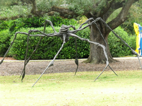 DSCF6785.jpg
