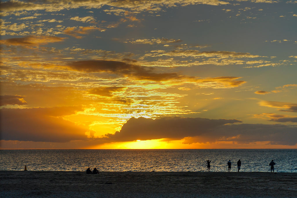 Coral Sunset