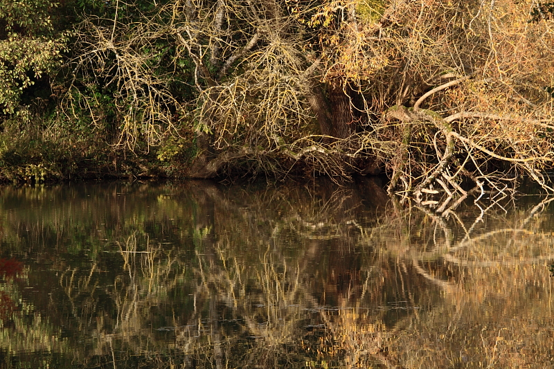 Reflets_01.JPG