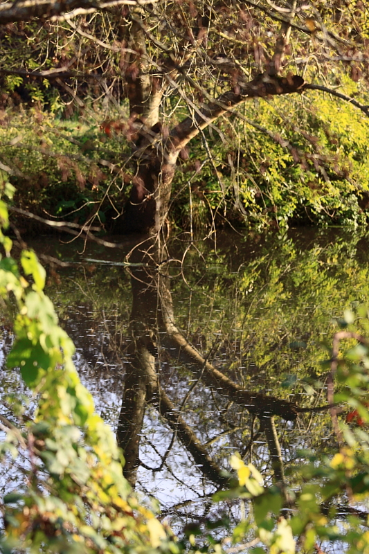 Reflets_09.JPG
