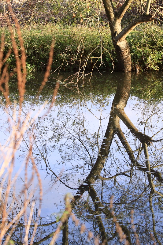 Reflets_10.JPG