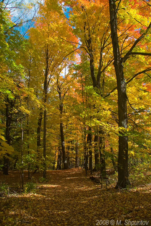 Fall Trails
