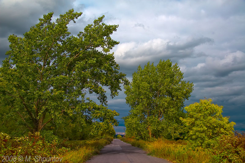 Leslie Street Spit Park