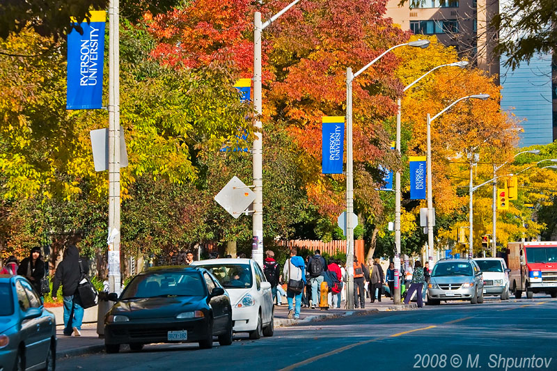 Fall in Ryerson University