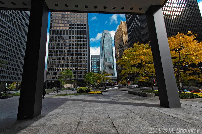 Downtown Perspectives