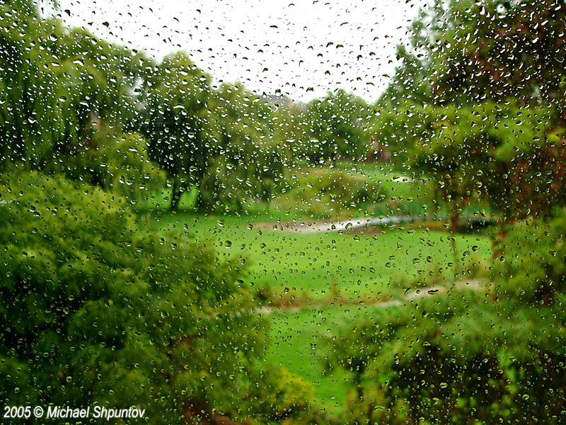Golfing Rain