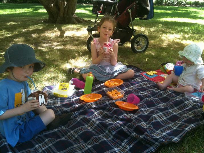 PicnicFitzroyGardens2.JPG