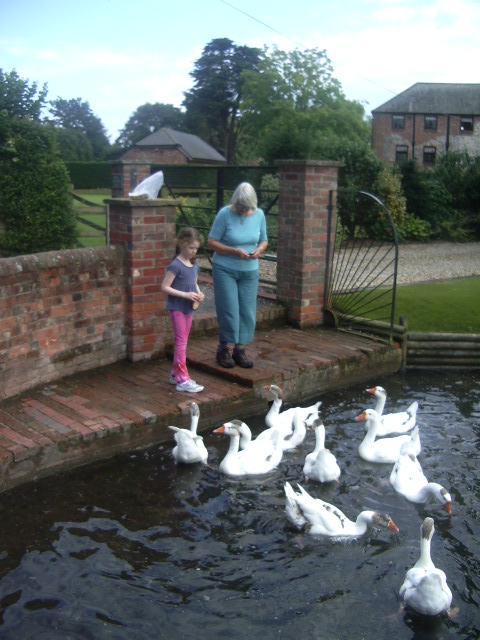UK 48 East Ashling.JPG