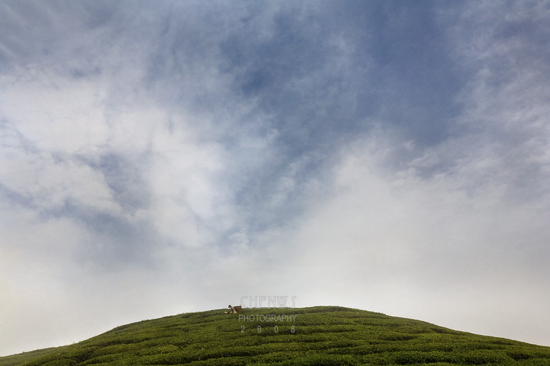 Worker on a hill