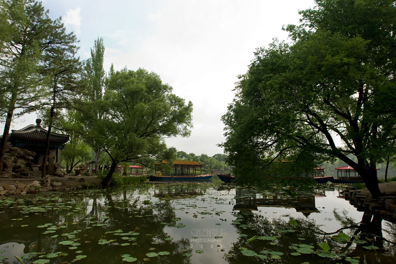 Palace lake and trees (CWS8759)