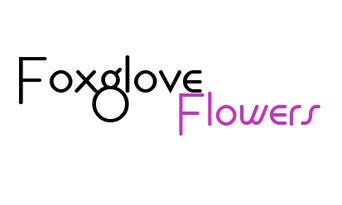 FoxGlove Flowers