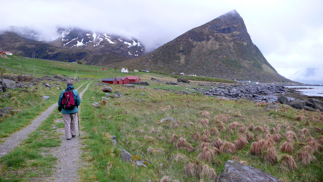 Lofoten walk