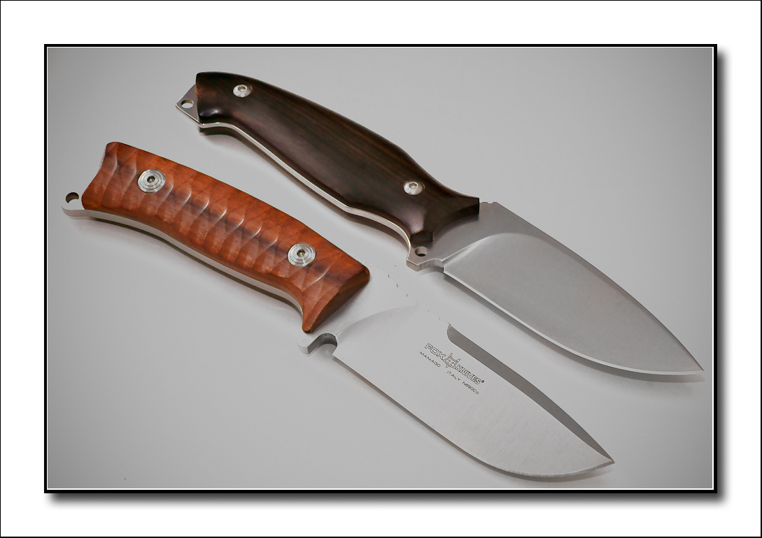 Fox Pro Hunter Fixed and Viper Pointer