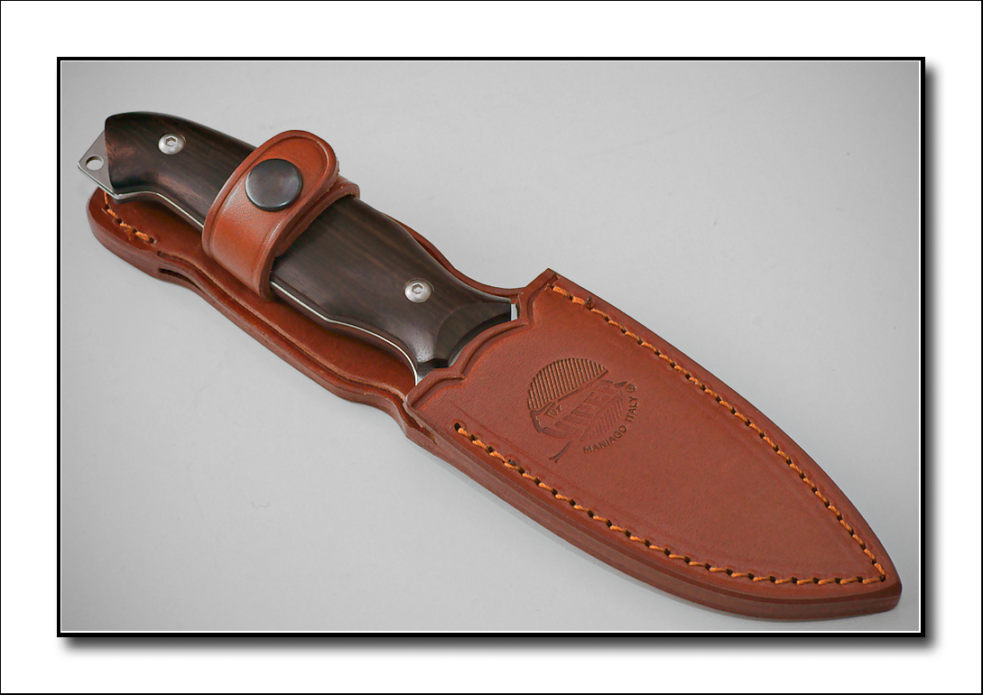 Viper Pointer