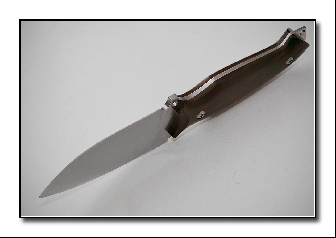 Viper Pointer