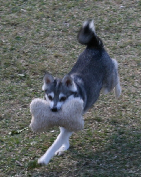Foxxy 111508 126.JPG