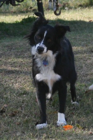 Mommy is making funny noises 111508 138.JPG
