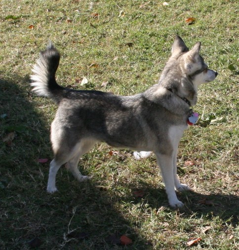 Foxxy 111508 179.JPG