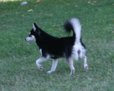 177.JPG