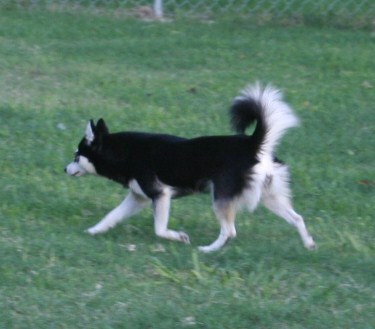179.JPG