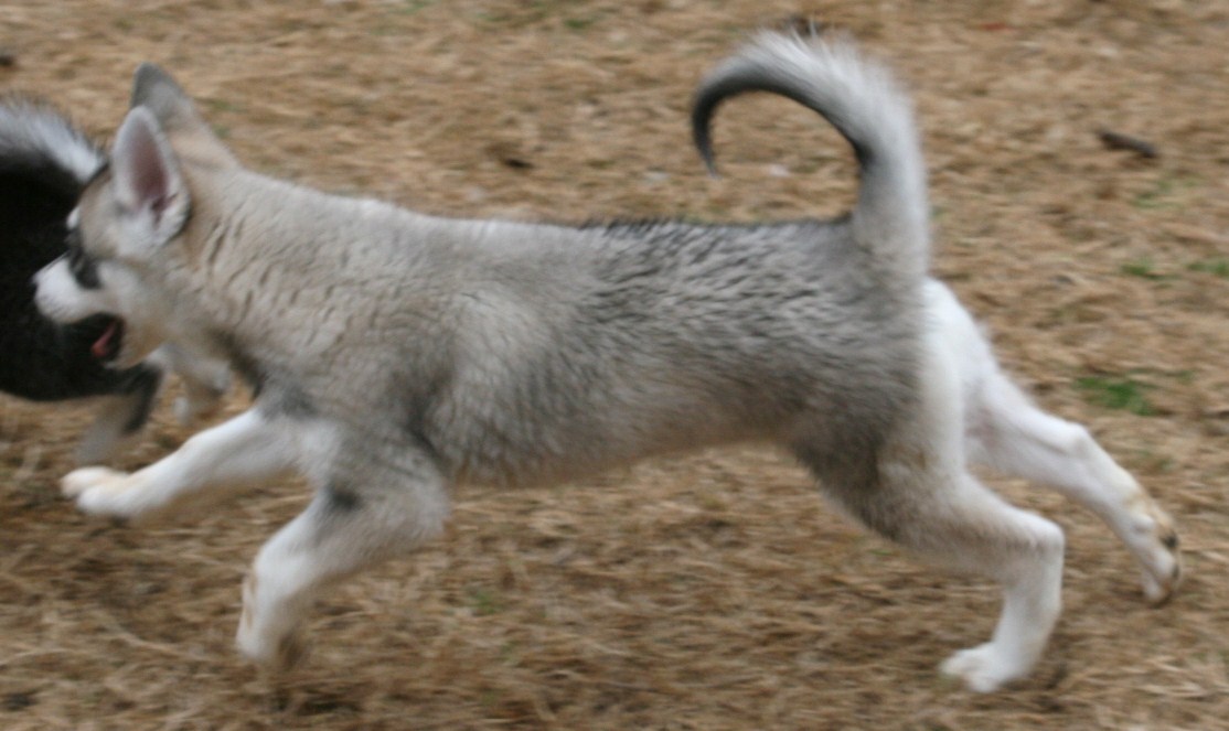 114.JPG