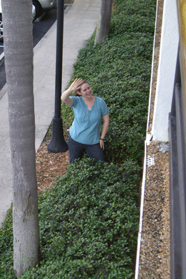 flag55.gif