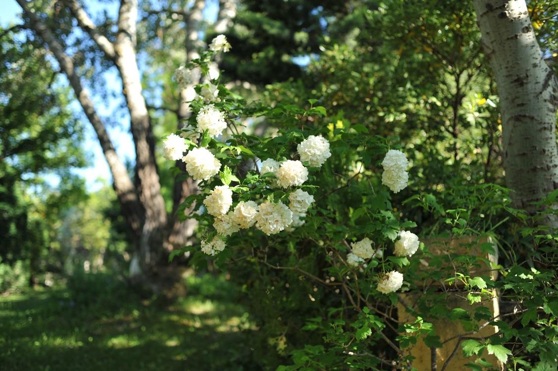 DSC_2728.JPG