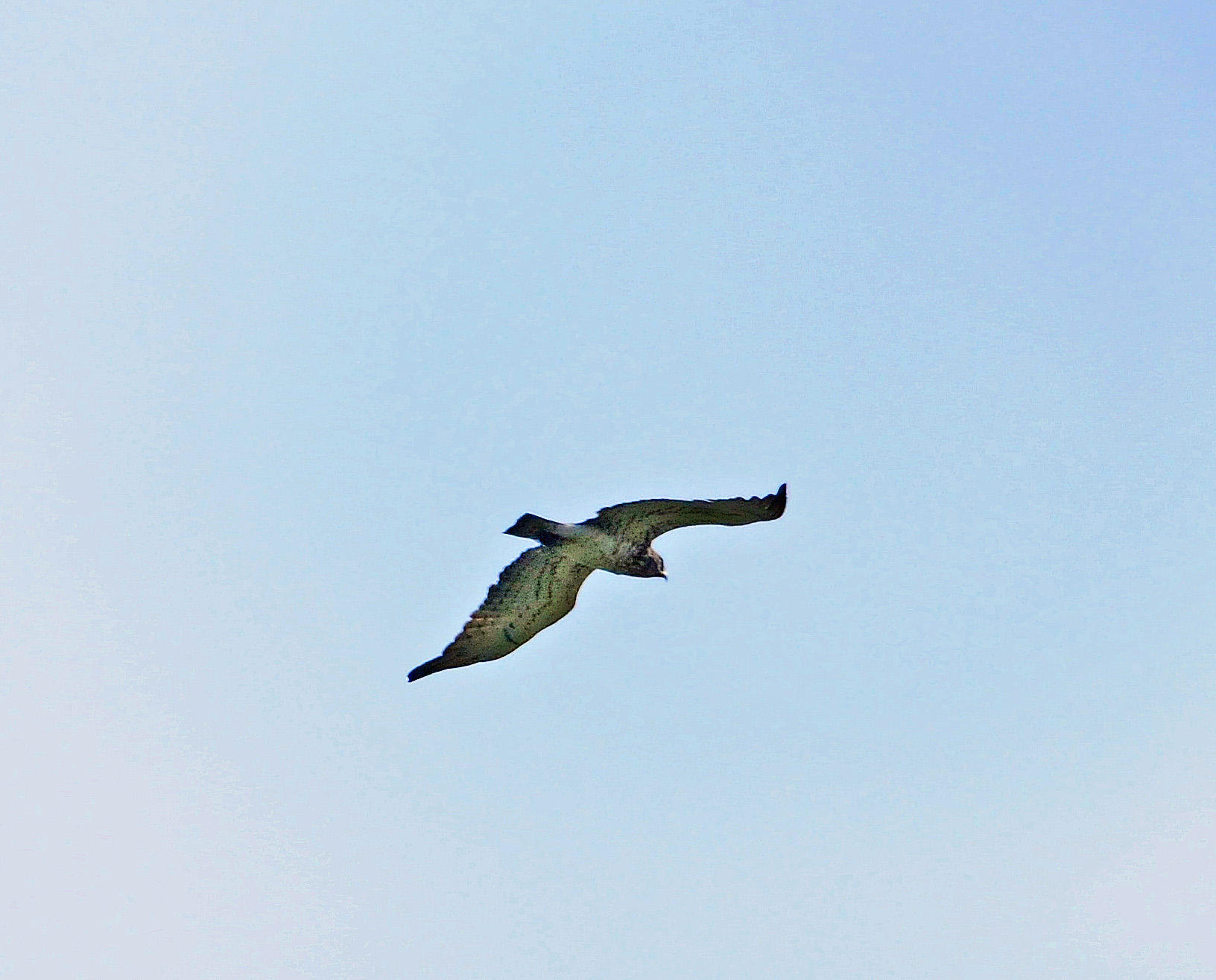 DSC_2909.JPG