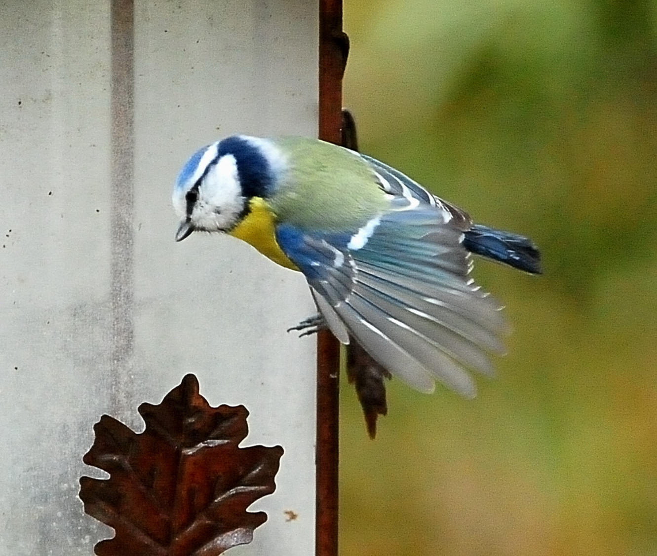 DSC_8124.JPG
