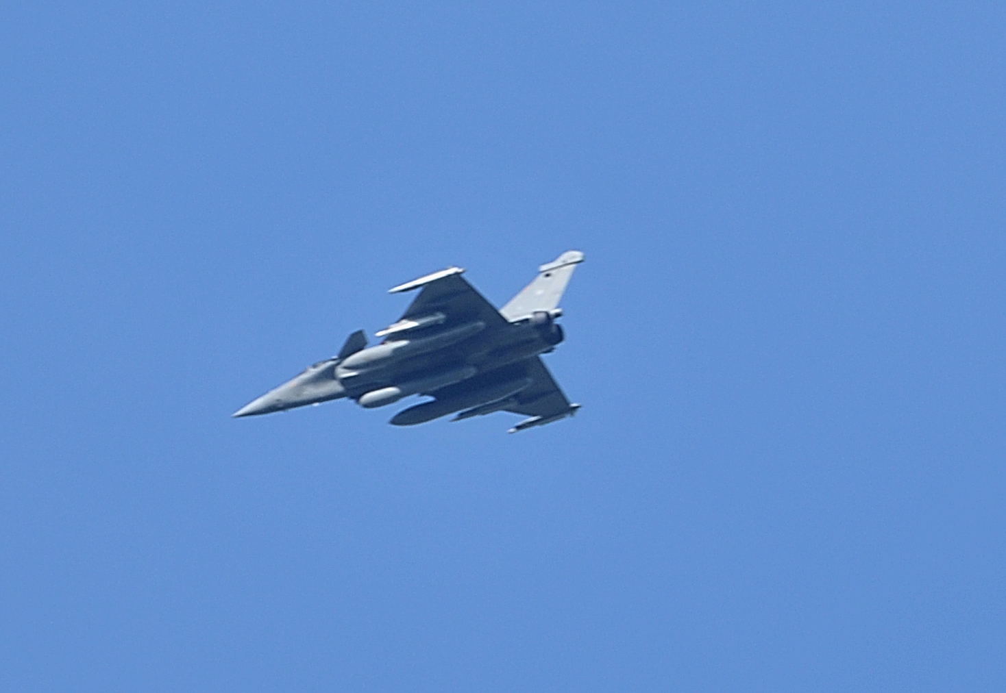 DSC_3479c.jpg