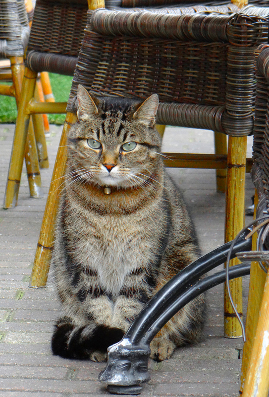 Hey guys, I still waiting for my beer. An Heineken please!